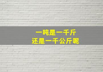 一吨是一千斤还是一千公斤呢