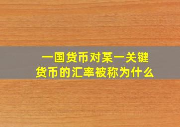 一国货币对某一关键货币的汇率被称为什么