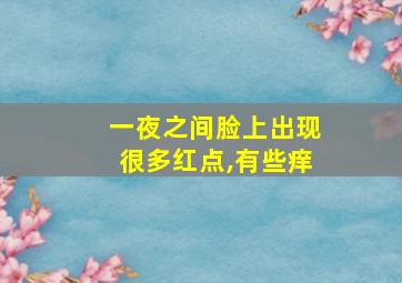 一夜之间脸上出现很多红点,有些痒