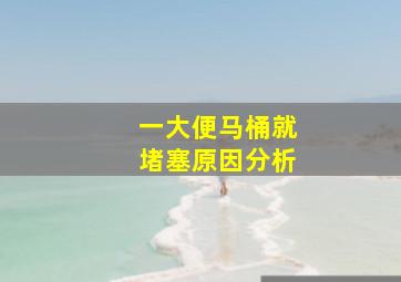 一大便马桶就堵塞原因分析