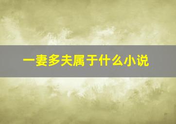 一妻多夫属于什么小说