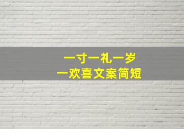 一寸一礼一岁一欢喜文案简短