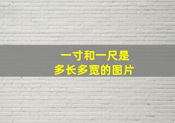 一寸和一尺是多长多宽的图片