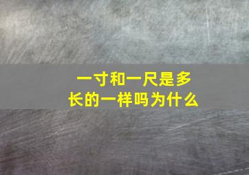 一寸和一尺是多长的一样吗为什么