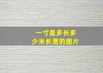 一寸是多长多少米长宽的图片