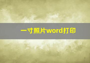 一寸照片word打印