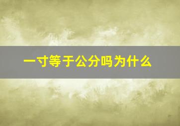 一寸等于公分吗为什么