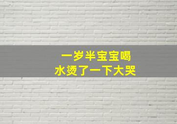 一岁半宝宝喝水烫了一下大哭