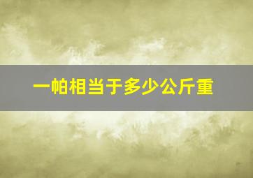 一帕相当于多少公斤重