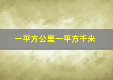 一平方公里一平方千米