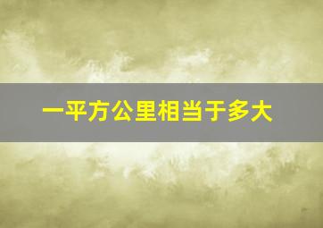 一平方公里相当于多大