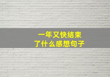 一年又快结束了什么感想句子