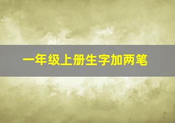 一年级上册生字加两笔