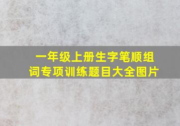 一年级上册生字笔顺组词专项训练题目大全图片