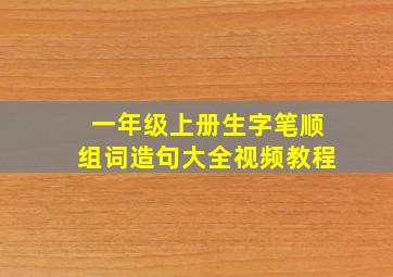 一年级上册生字笔顺组词造句大全视频教程