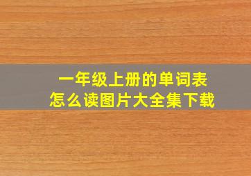 一年级上册的单词表怎么读图片大全集下载