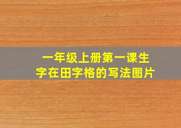 一年级上册第一课生字在田字格的写法图片