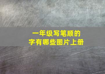 一年级写笔顺的字有哪些图片上册