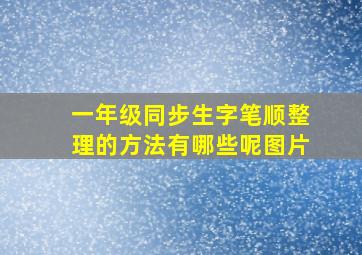 一年级同步生字笔顺整理的方法有哪些呢图片