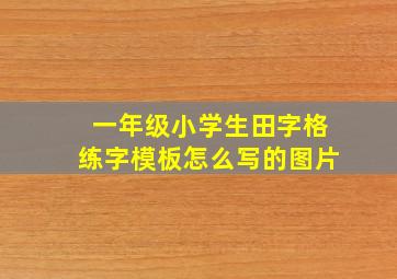 一年级小学生田字格练字模板怎么写的图片