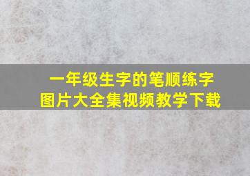 一年级生字的笔顺练字图片大全集视频教学下载