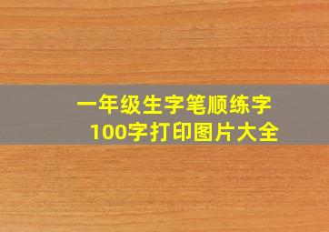 一年级生字笔顺练字100字打印图片大全