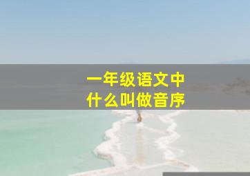 一年级语文中什么叫做音序