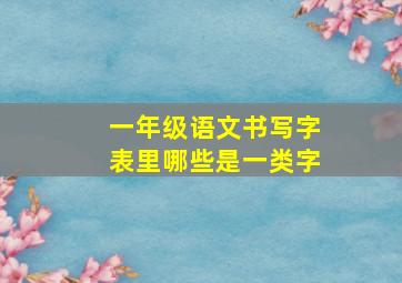 一年级语文书写字表里哪些是一类字