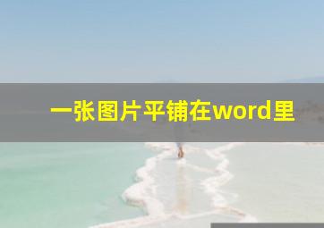 一张图片平铺在word里