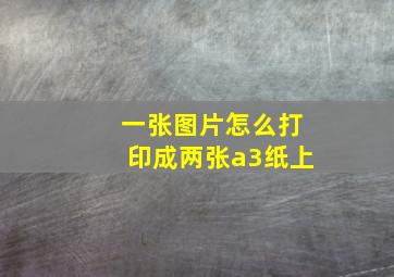 一张图片怎么打印成两张a3纸上