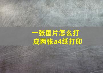 一张图片怎么打成两张a4纸打印