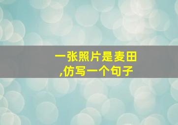 一张照片是麦田,仿写一个句子