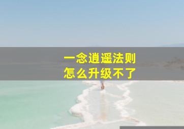 一念逍遥法则怎么升级不了