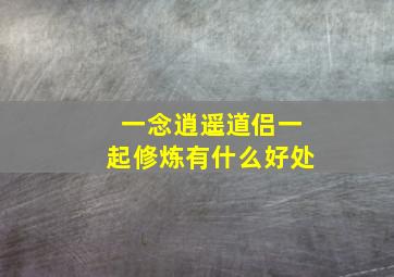 一念逍遥道侣一起修炼有什么好处