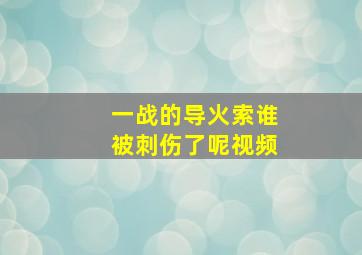 一战的导火索谁被刺伤了呢视频