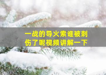 一战的导火索谁被刺伤了呢视频讲解一下