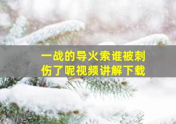 一战的导火索谁被刺伤了呢视频讲解下载