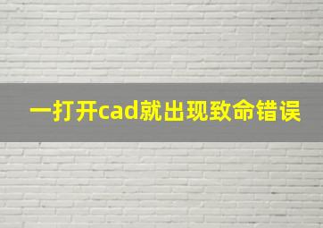 一打开cad就出现致命错误