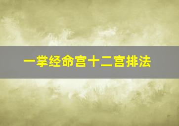 一掌经命宫十二宫排法