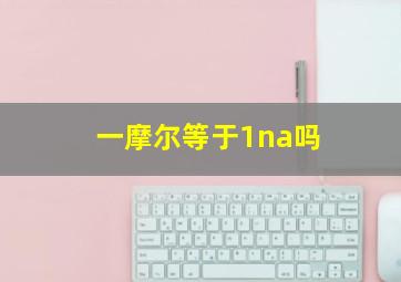 一摩尔等于1na吗