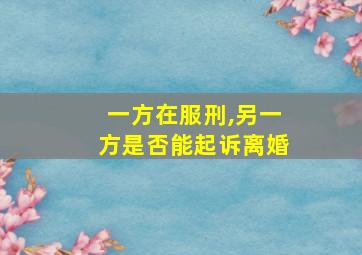 一方在服刑,另一方是否能起诉离婚