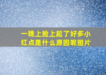 一晚上脸上起了好多小红点是什么原因呢图片