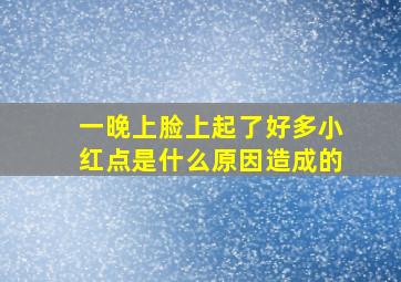 一晚上脸上起了好多小红点是什么原因造成的