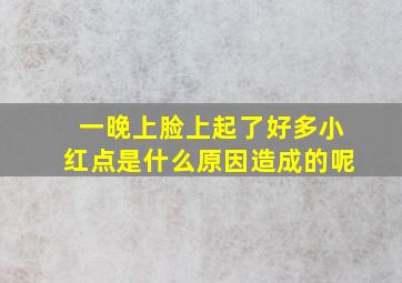 一晚上脸上起了好多小红点是什么原因造成的呢