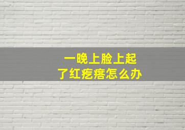 一晚上脸上起了红疙瘩怎么办