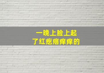 一晚上脸上起了红疙瘩痒痒的