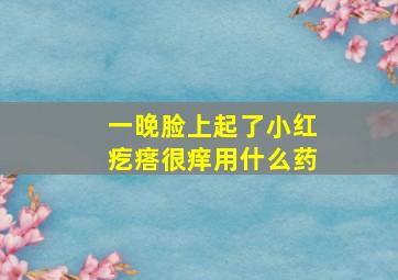 一晚脸上起了小红疙瘩很痒用什么药