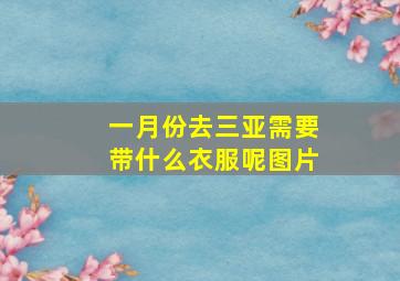 一月份去三亚需要带什么衣服呢图片