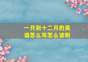 一月到十二月的英语怎么写怎么读啊