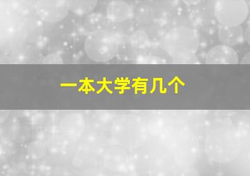 一本大学有几个